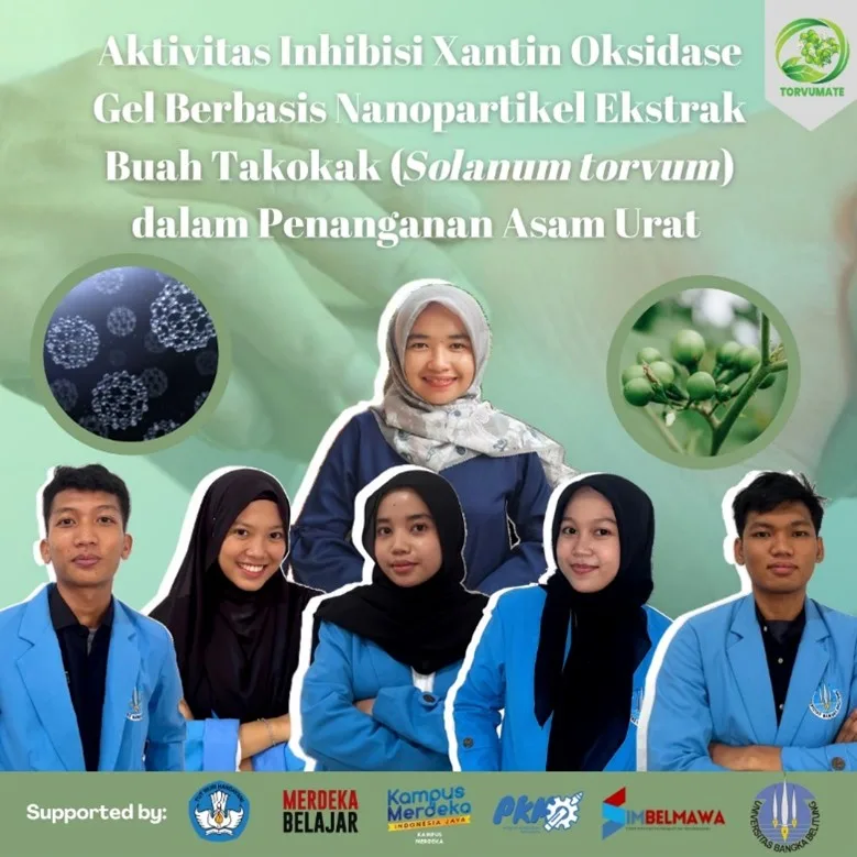 Aktifitas Inbisi Xantin Oksidase Gel Berbasis Nanopartikel Ekstrak Buah Takokak (Solanum torvum) dalam Penanganan Asam Urat